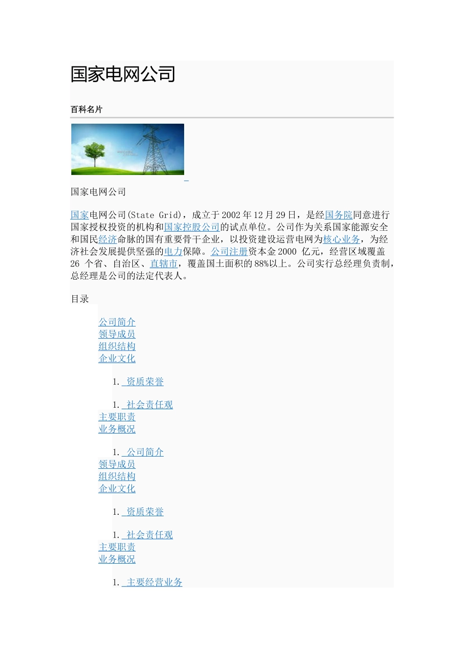 国家电网公司_第1页