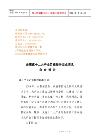 关于十二大八大产业工作总结