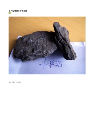 各种标准岩石矿物图集-