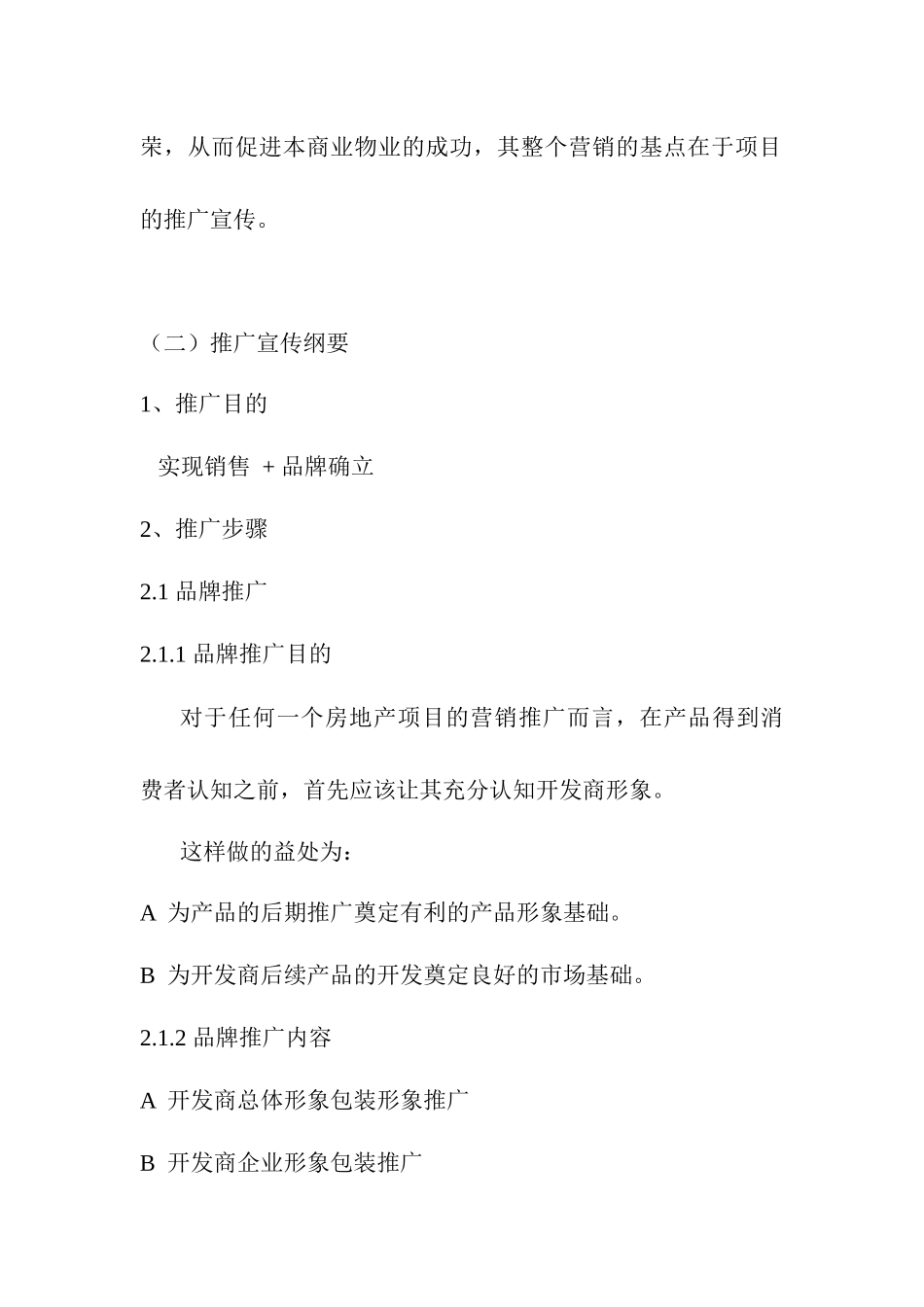 商业物业营销推广项目_第3页