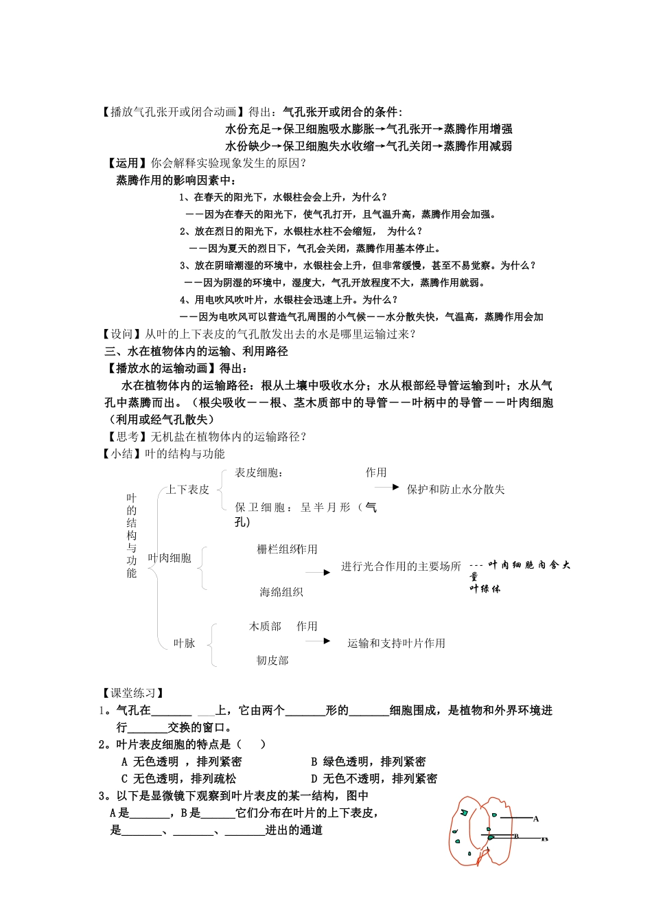 叶的蒸腾作用和结构_第3页