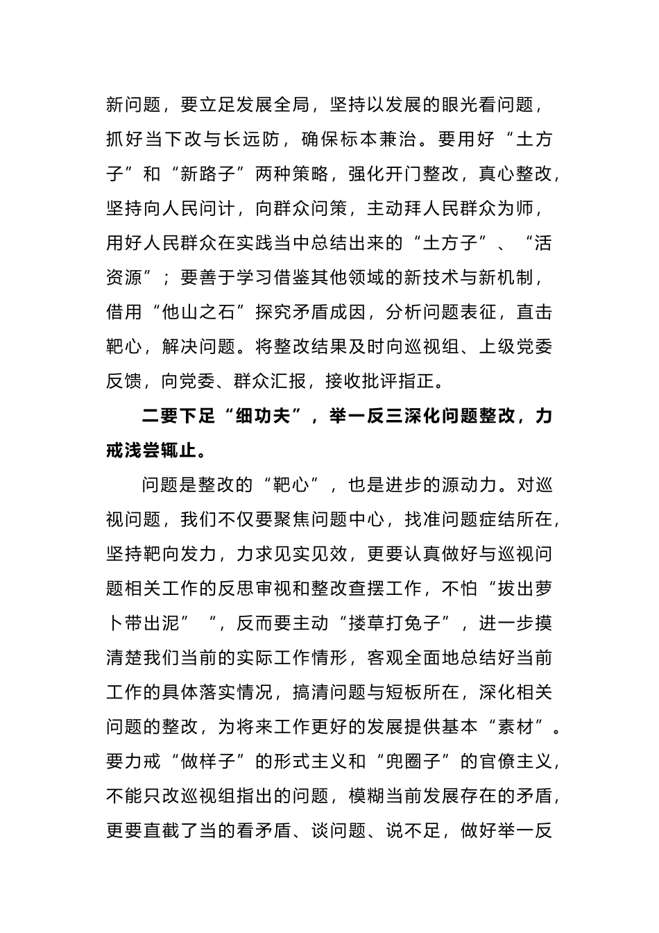 在巡视整改推进会上的讲话_第2页