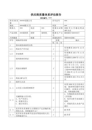 原料药供应商审计报告1031