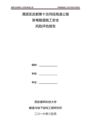 各竜隧道施工安全风险评估报告