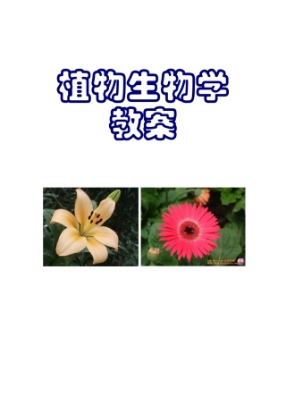 植物生物学教案