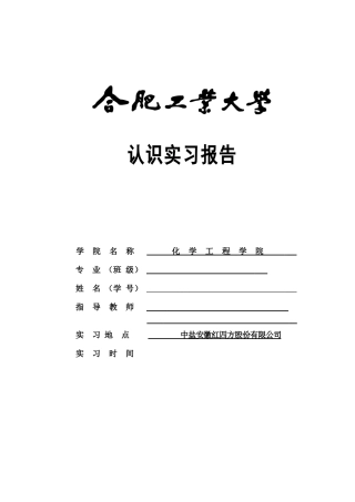 合工大化工专业实习报告
