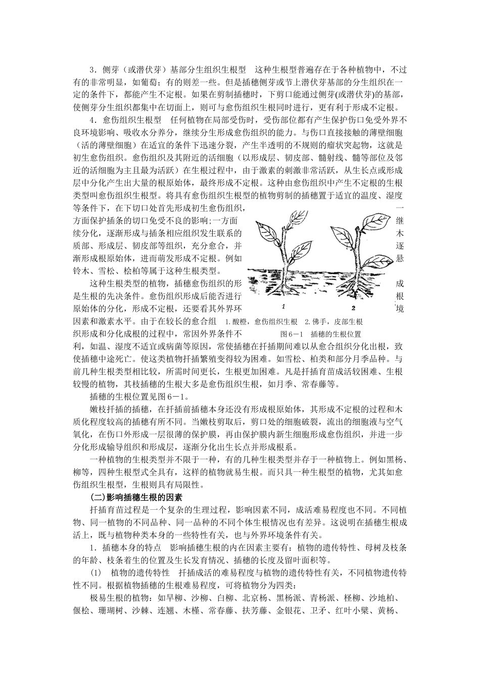 园林植物的扦插繁殖_第2页