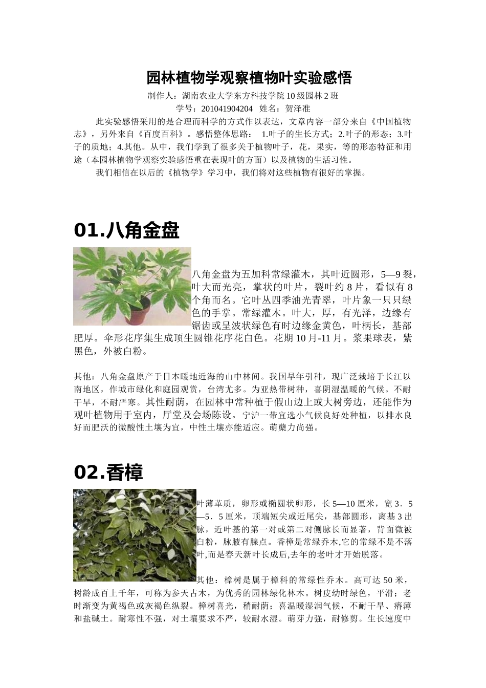 园林植物学观察植物实验感悟_第1页