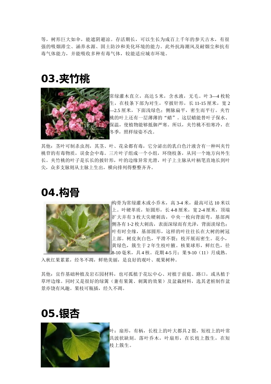 园林植物学观察植物实验感悟_第2页