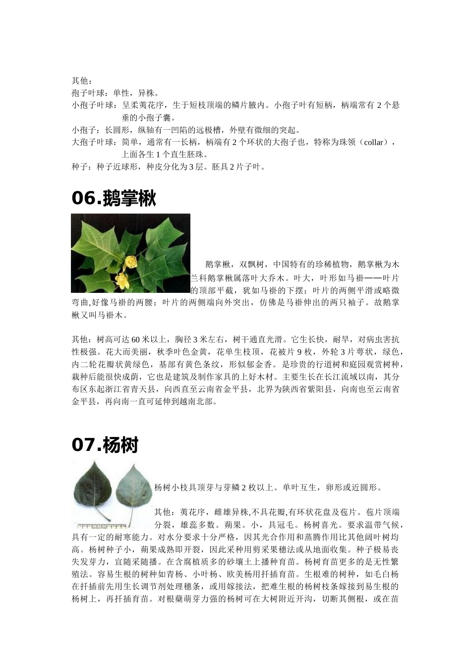 园林植物学观察植物实验感悟_第3页