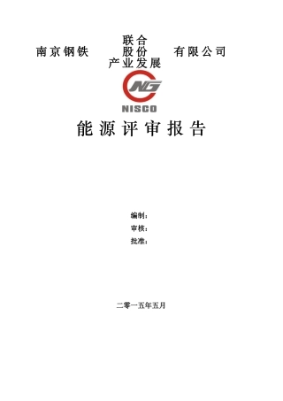 南钢能源评审报告(303页)