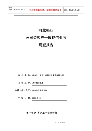 公司类客户一般授信业务调查报告