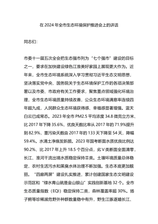 在2024年全市生态环境保护推进会上的讲话