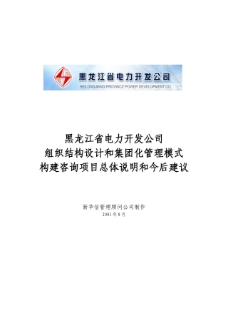 公司组织结构设计与集团化管理模式