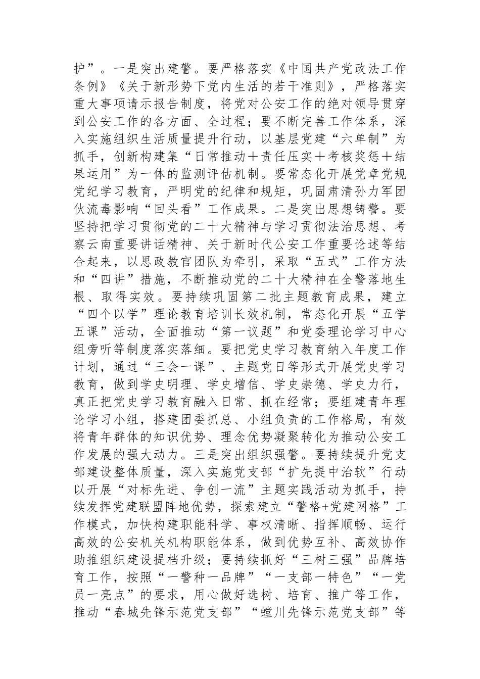 XX市2024年度公安工作报告_第2页