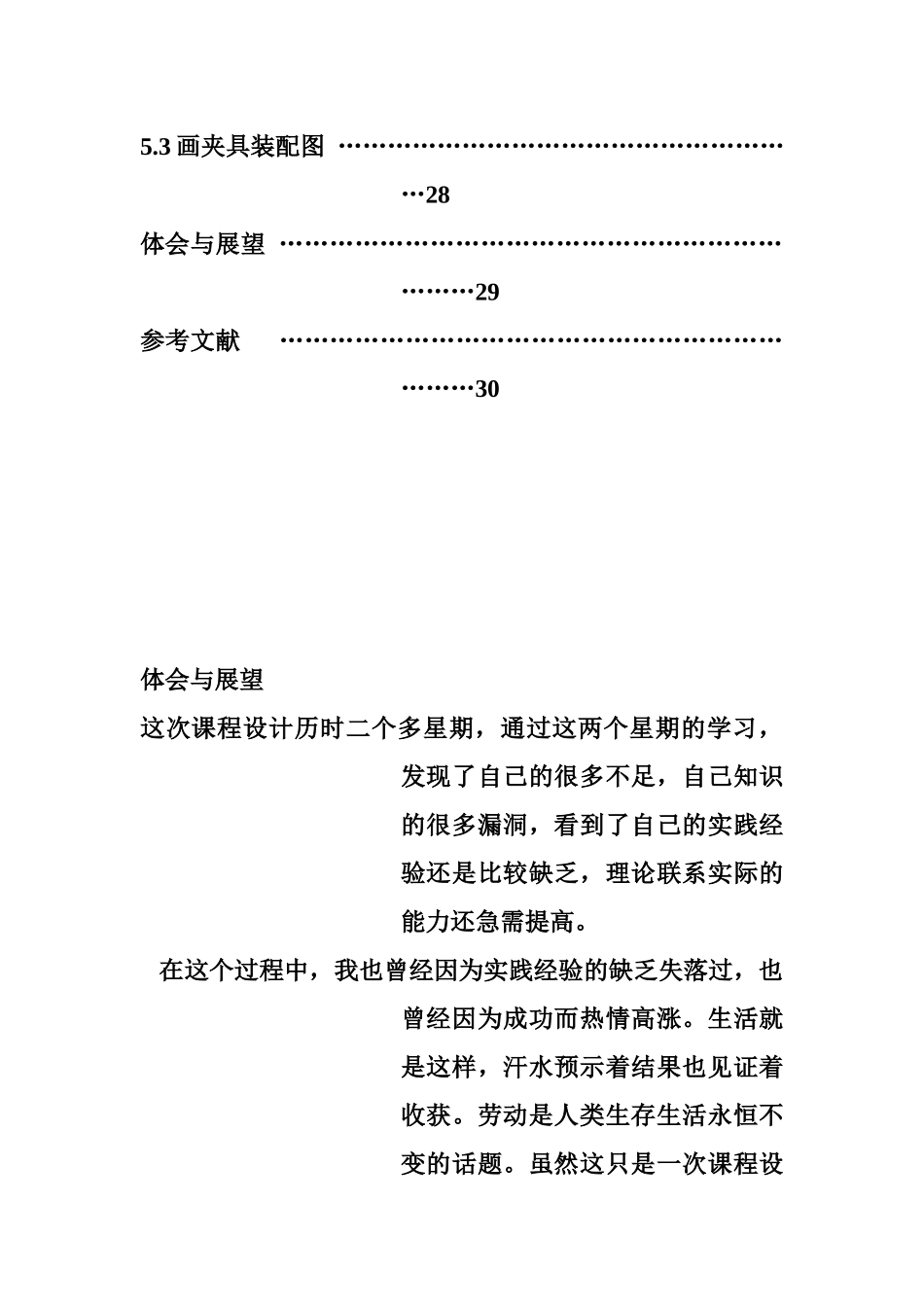 左摆动杠杆零件的机械加工工艺规程及工艺装备设计_第3页