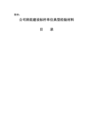 公司班组建设标杆单位典型经验材料