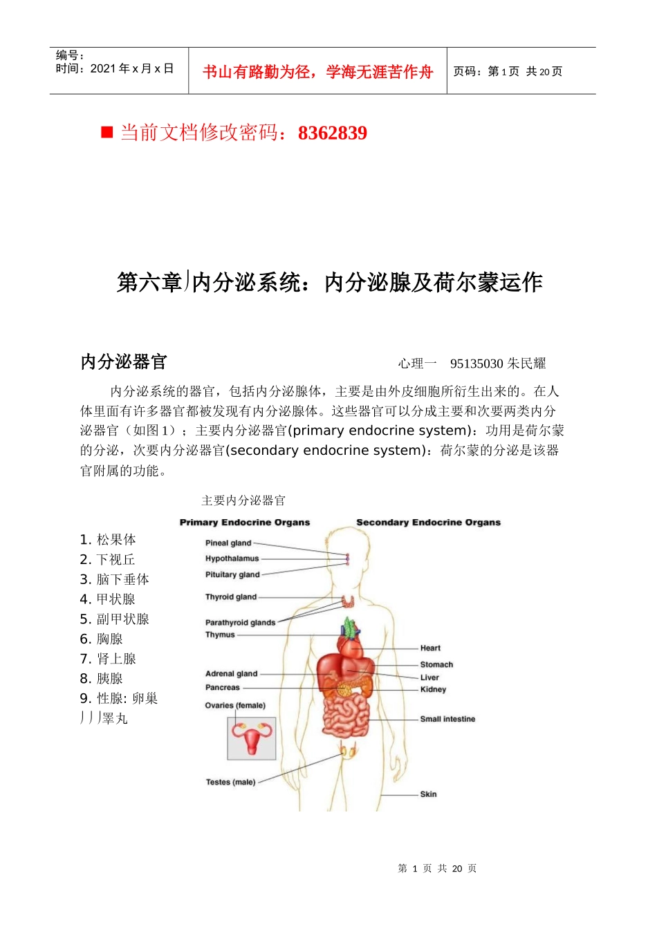 内分泌腺及荷尔蒙运作内分泌器官_第1页