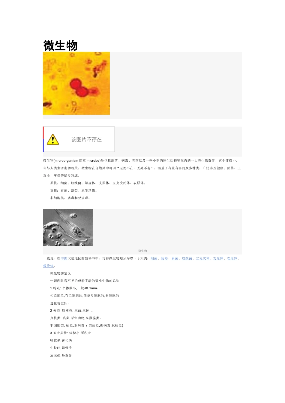 微生物(microorganism简称microbe)是包括细菌_第1页