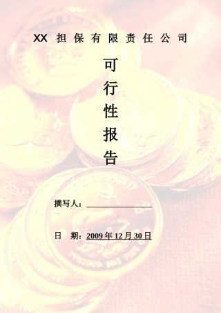 公司背景及沿革 公司组建原则 公司业务范围 公司发展定位 公司