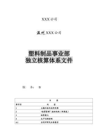 塑料制品事业部独立核算体系文件（52页）