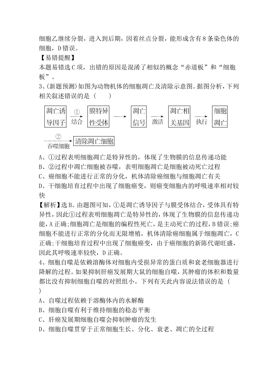 专题能力提升练专题4　细胞的生命历程_第2页