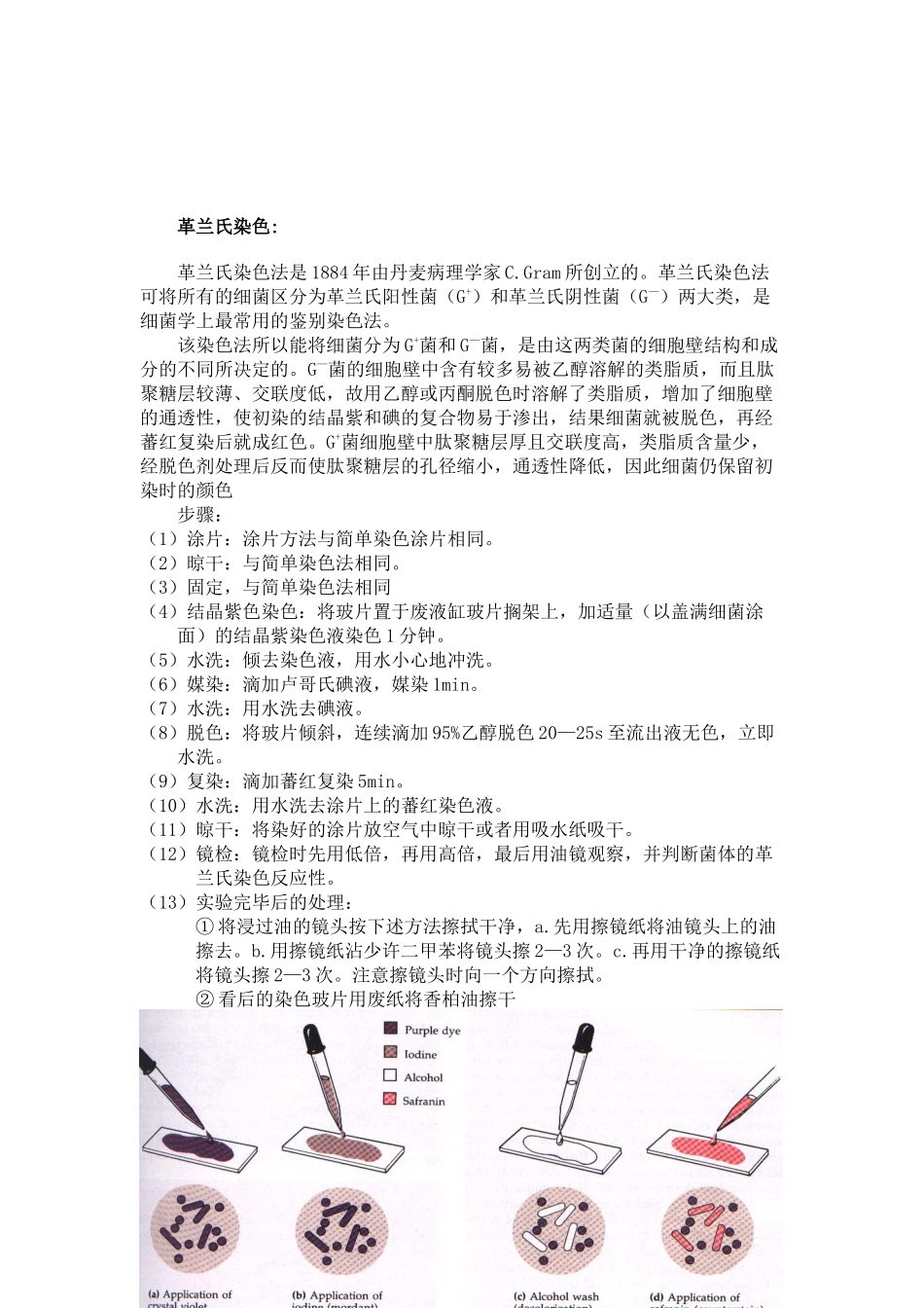 微生物常规鉴定技术_第3页