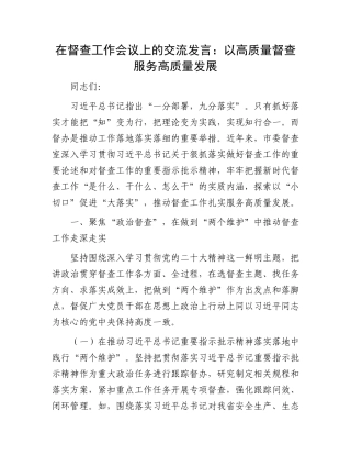 在督查工作会议上的交流发言：以高质量督查服务高质量发展