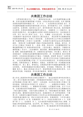 共青团工作总结