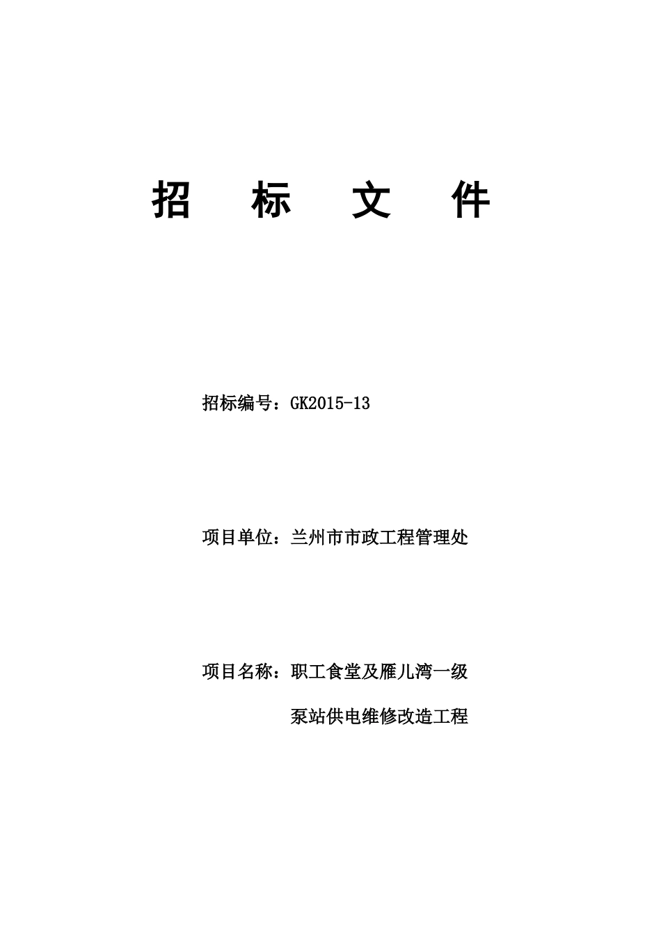 公开招标标书_第1页