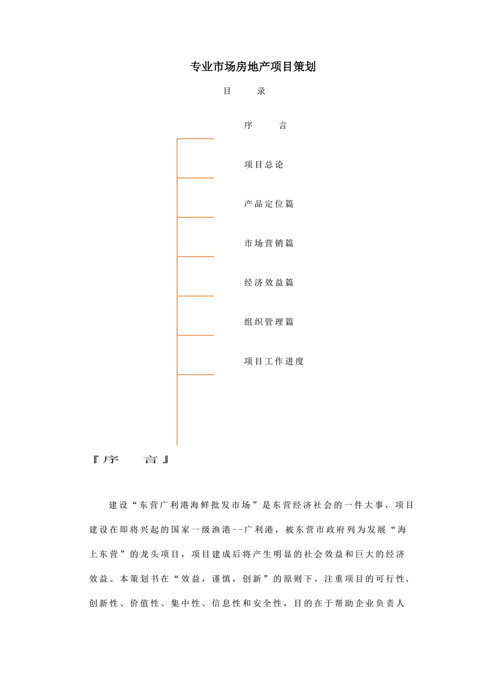专业市场房地产项目策划_第1页