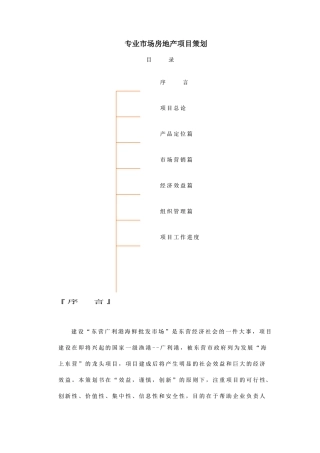 专业市场房地产项目策划