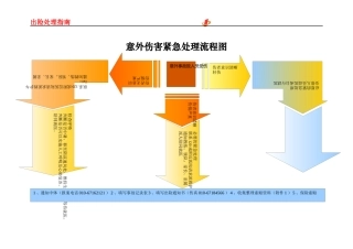 出险处理指南-应急处理流程