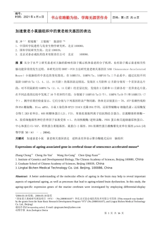 加速衰老小鼠脑组织中的衰老相关基因的表达(