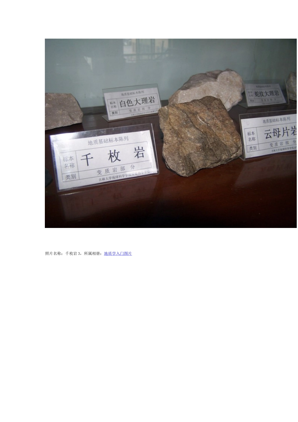 各种标准岩石矿物高清图集【124P】_第2页