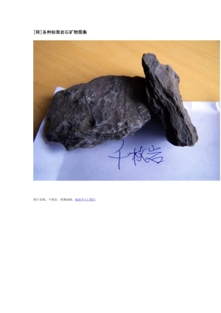 各种标准岩石矿物高清图集【124P】