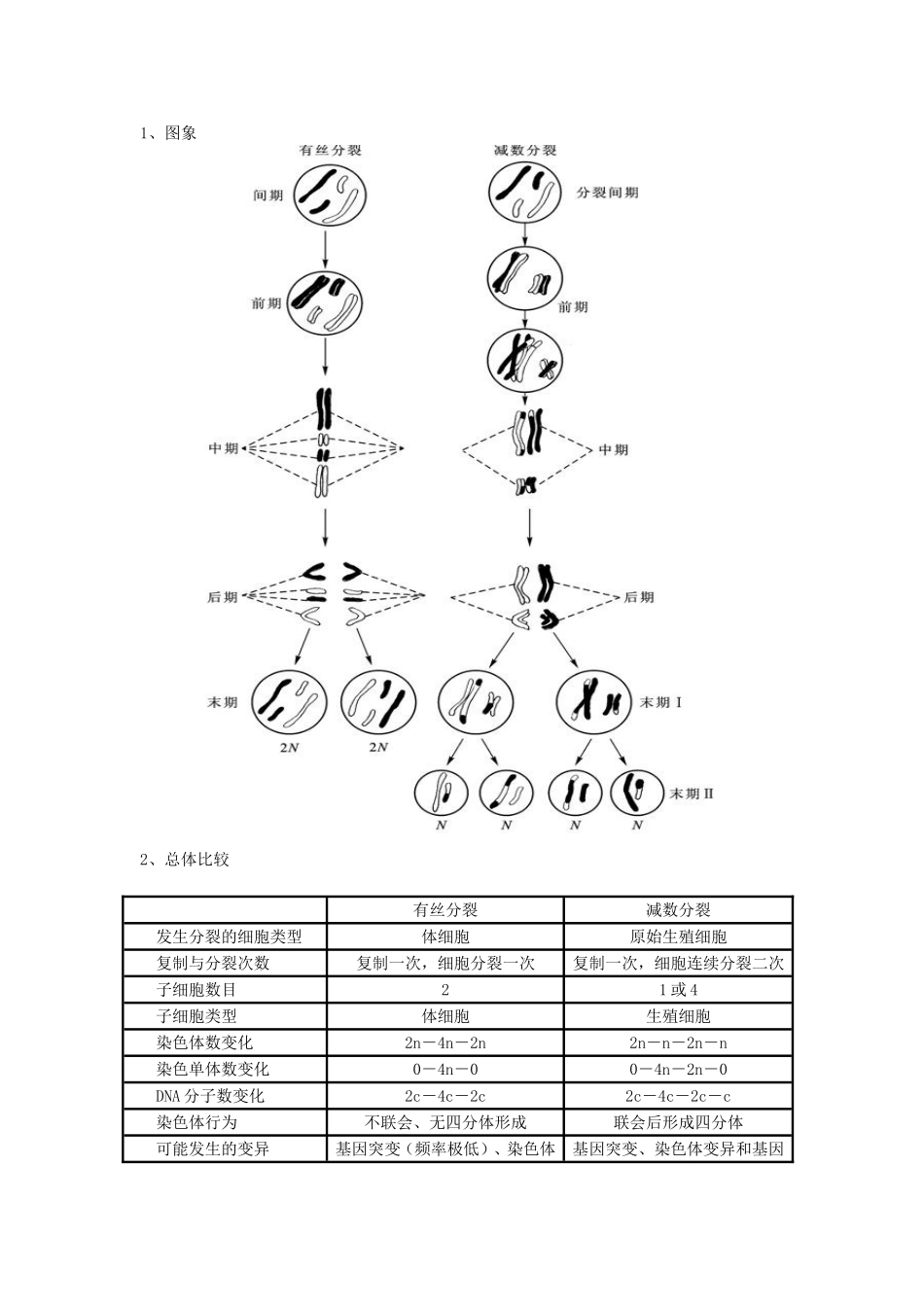 《遗传与进化》经典知识背诵篇_第3页