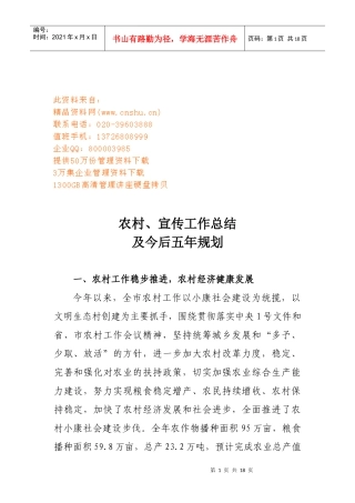 农村宣传工作总结与今后五年规划