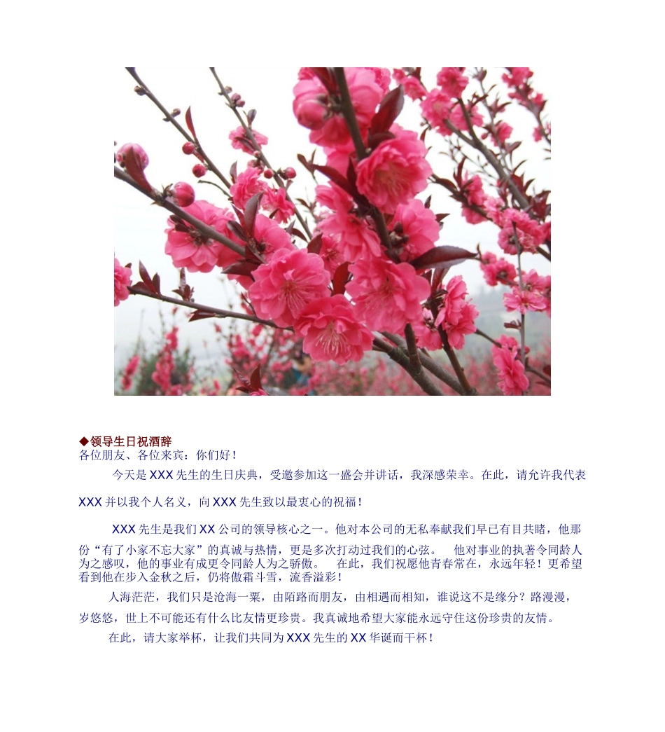 实用祝酒词大全_第3页