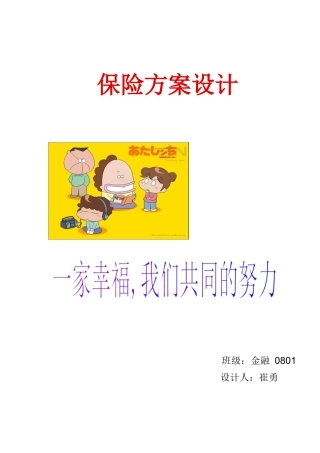 原创保险方案设计