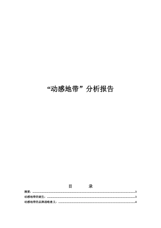 动感地带品牌研究报告(doc 39页)5