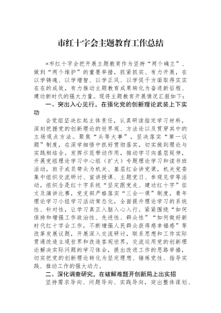 市红十字会主题教育工作总结