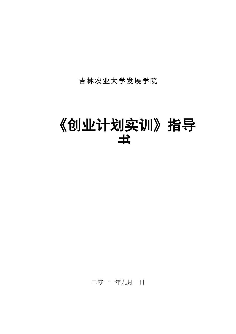 创业计划指导书XXXX09_第1页