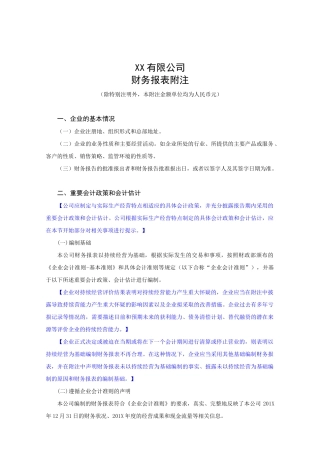 XX有限公司财务报表附注模板