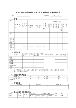 分子公司分管销售副总经理（总经理助理）月度市场报告