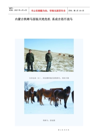 内蒙古铁蹄马面临灭绝危机系成吉思汗战马