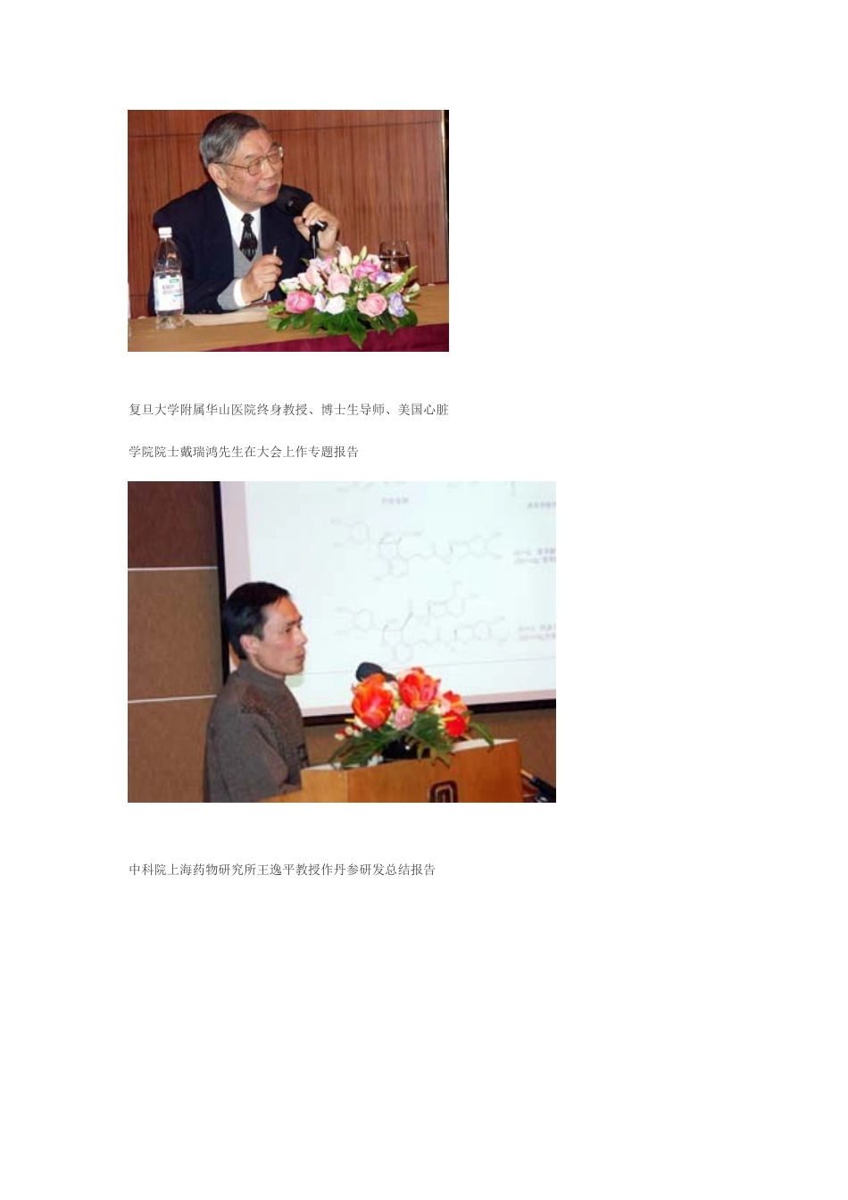 国药瑰宝丹参现代化_第3页