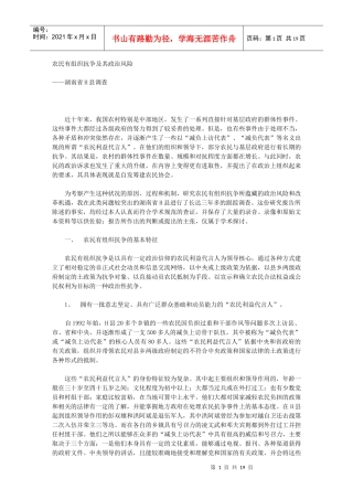 农民有组织抗争及其政治风险