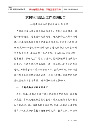 农村环境整治工作调研报告(DOC40页)