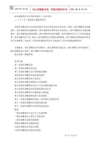 刹车调整项目可行性研究报告(专业可研)